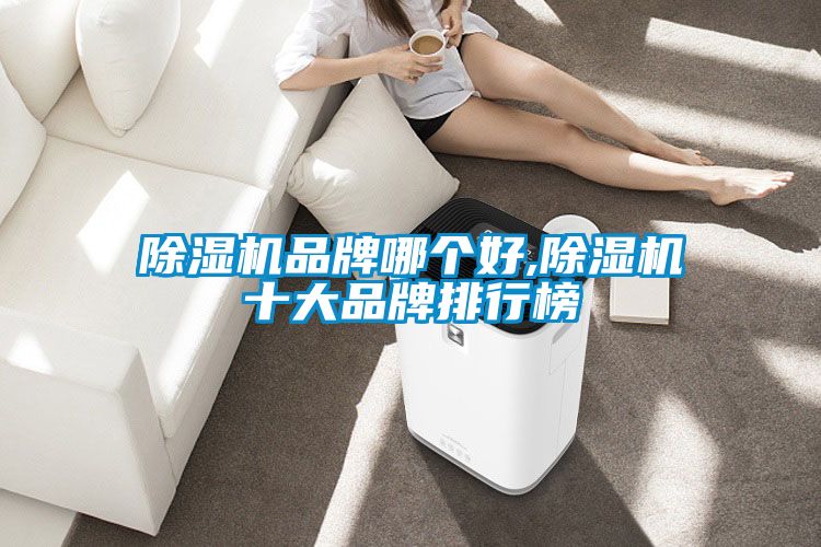 91看片在线下载機品牌哪個好,91看片在线下载機十大品牌排行榜