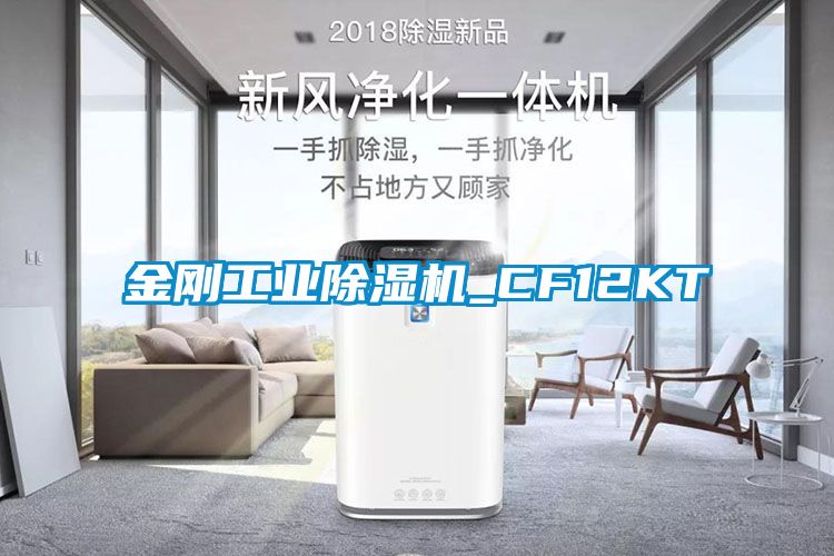 金剛工業91看片在线下载機_CF12KT