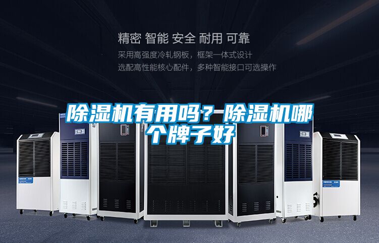 91看片在线下载機有用嗎？91看片在线下载機哪個牌子好