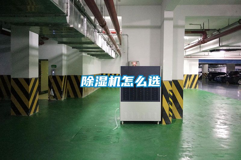 91看片在线下载機怎麽選