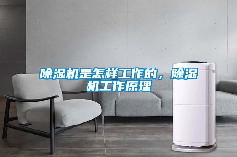 91看片在线下载機是怎樣工作的，91看片在线下载機工作原理