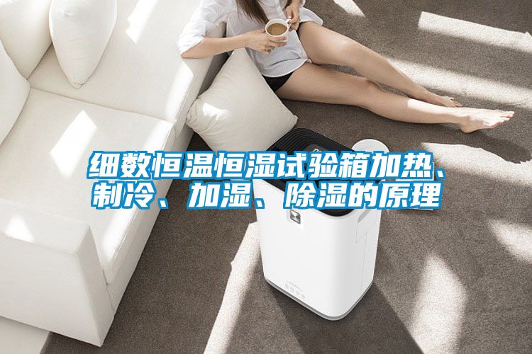 細數恒溫恒濕試驗箱加熱、製冷、加濕、91看片在线下载的原理