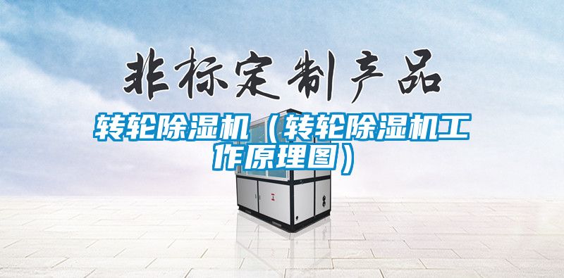 轉輪91看片在线下载機（轉輪91看片在线下载機工作原理圖）