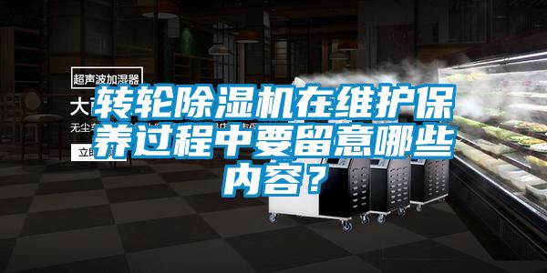 轉輪91看片在线下载機在維護保養過程中要留意哪些內容？