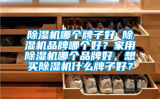 91看片在线下载機哪個牌子好 91看片在线下载機品牌哪個好？家用91看片在线下载機哪個品牌好，想買91看片在线下载機什麽牌子好？