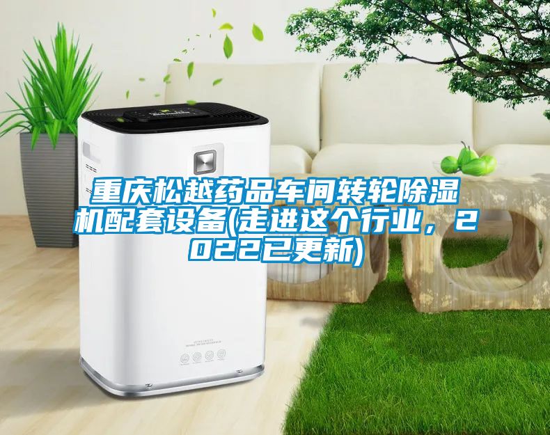重慶鬆越藥品車間轉輪91看片在线下载機配套設備(走進這個行業，2022已更新)