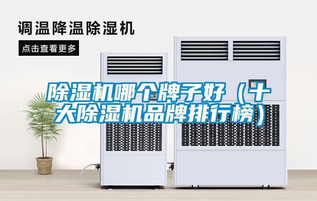 91看片在线下载機哪個牌子好（十大91看片在线下载機品牌排行榜）