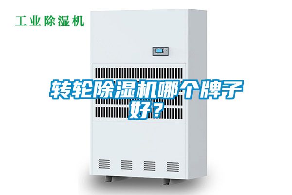 轉輪91看片在线下载機哪個牌子好？