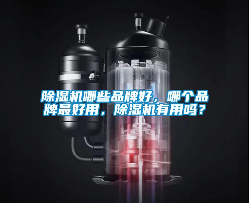 91看片在线下载機哪些品牌好，哪個品牌最好用，91看片在线下载機有用嗎？