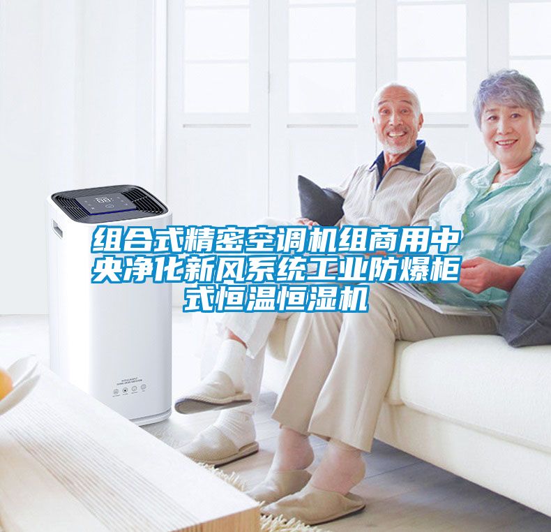 組合式精密空調機組商用中央淨化新風係統工業防爆櫃式恒溫恒濕機
