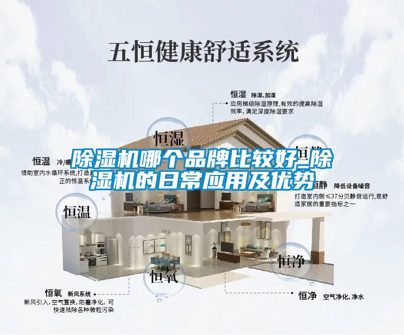 91看片在线下载機哪個品牌比較好_91看片在线下载機的日常應用及優勢