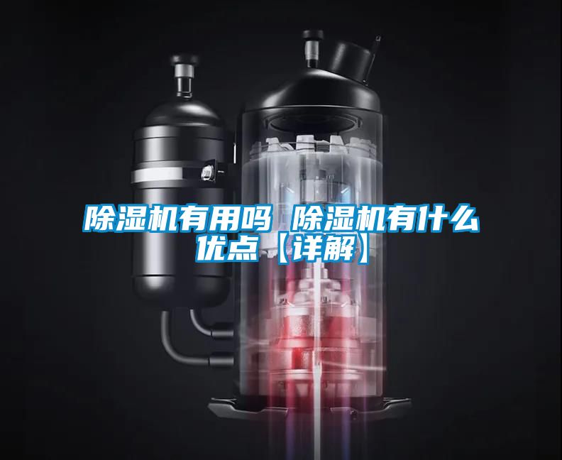 91看片在线下载機有用嗎 91看片在线下载機有什麽優點【詳解】