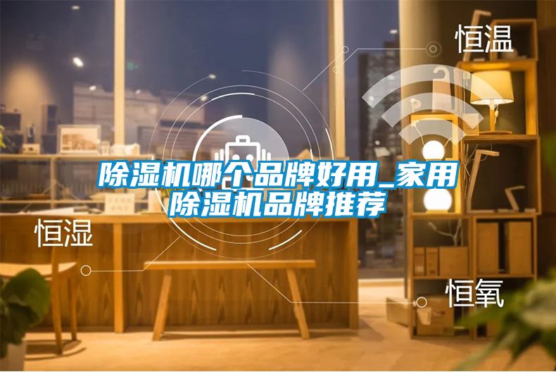 91看片在线下载機哪個品牌好用_家用91看片在线下载機品牌推薦
