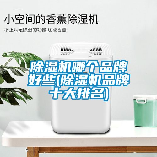 91看片在线下载機哪個品牌好些(91看片在线下载機品牌十大排名)