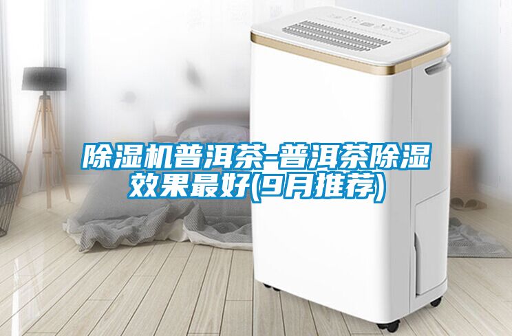 91看片在线下载機普洱茶-普洱茶91看片在线下载效果最好(9月推薦)