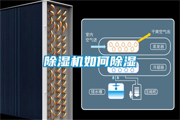 91看片在线下载機如何91看片在线下载