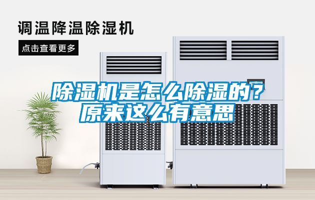 91看片在线下载機是怎麽91看片在线下载的？原來這麽有意思