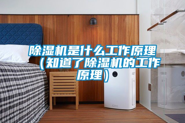 91看片在线下载機是什麽工作原理（知道了91看片在线下载機的工作原理）
