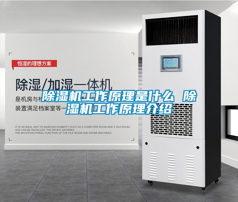 91看片在线下载機工作原理是什麽 91看片在线下载機工作原理介紹