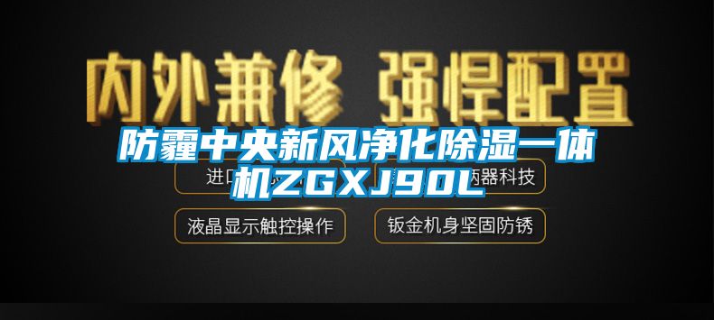 防霾中央新風淨化91看片在线下载一體機ZGXJ90L