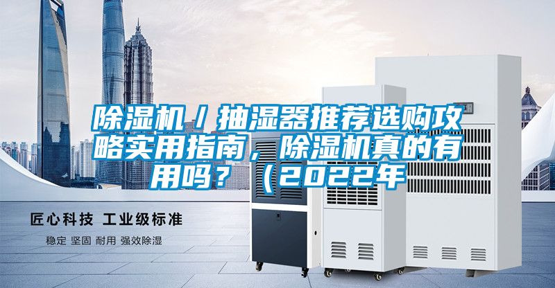 91看片在线下载機／抽濕器推薦選購攻略實用指南，91看片在线下载機真的有用嗎？（2022年