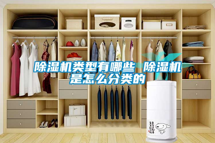 91看片在线下载機類型有哪些 91看片在线下载機是怎麽分類的