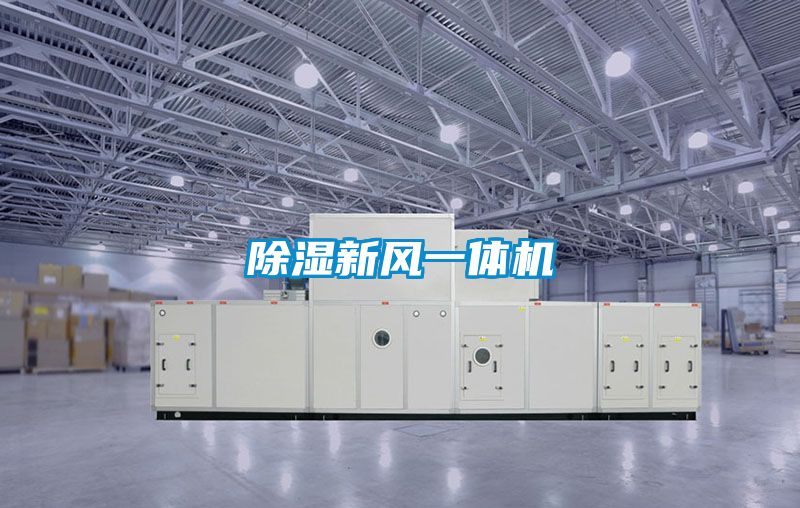 91看片在线下载新風一體機