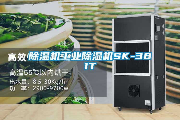 91看片在线下载機工業91看片在线下载機SK-381T