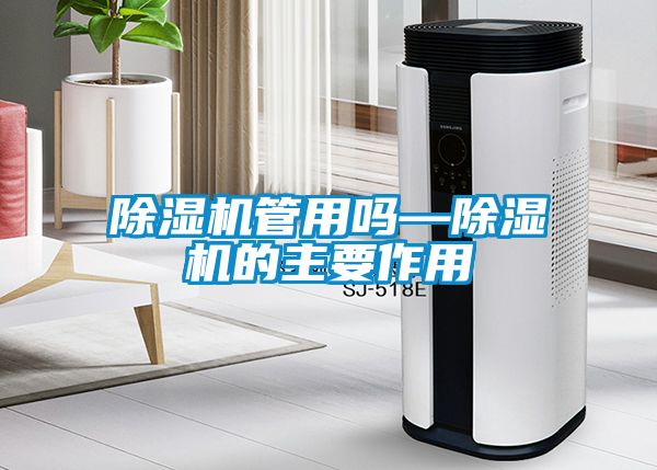 91看片在线下载機管用嗎—91看片在线下载機的主要作用