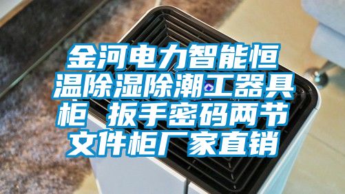 金河電力智能恒溫91看片在线下载除潮工器具櫃 扳手密碼兩節文件櫃廠家直銷