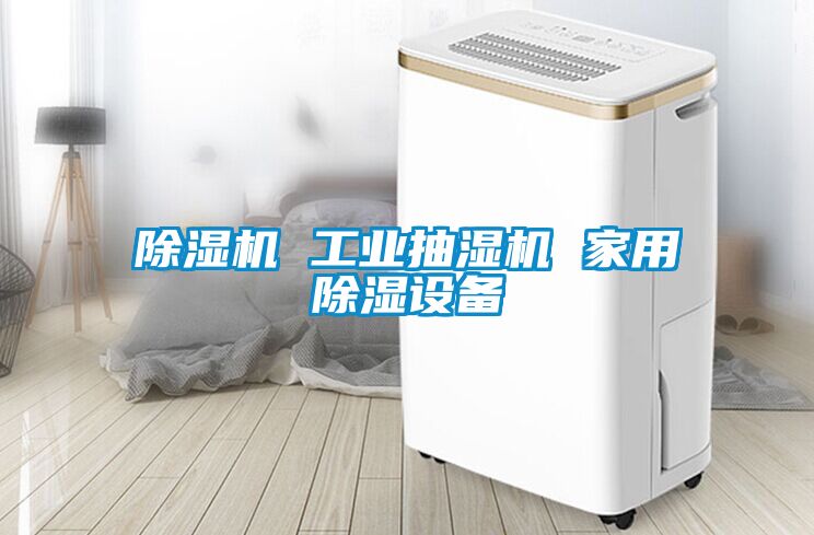 91看片在线下载機 工業抽濕機 家用91看片在线下载設備
