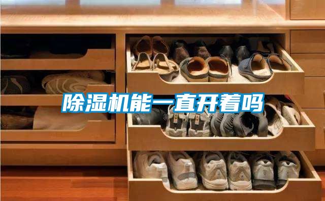 91看片在线下载機能一直開著嗎