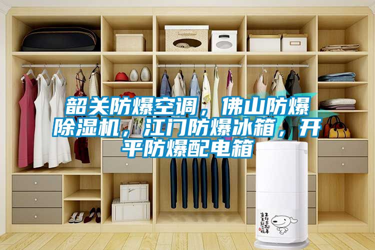 韶關防爆空調，佛山防爆91看片在线下载機，江門防爆冰箱，開平防爆配電箱