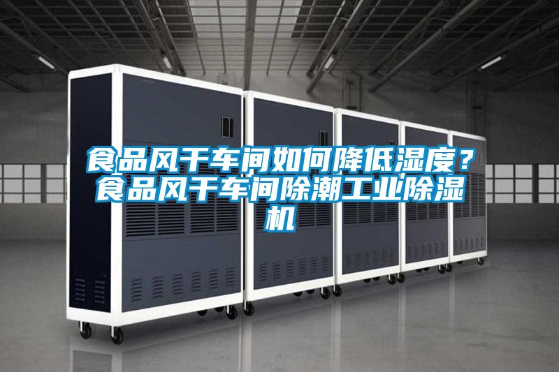 食品風幹車間如何降低濕度？食品風幹車間除潮工業91看片在线下载機