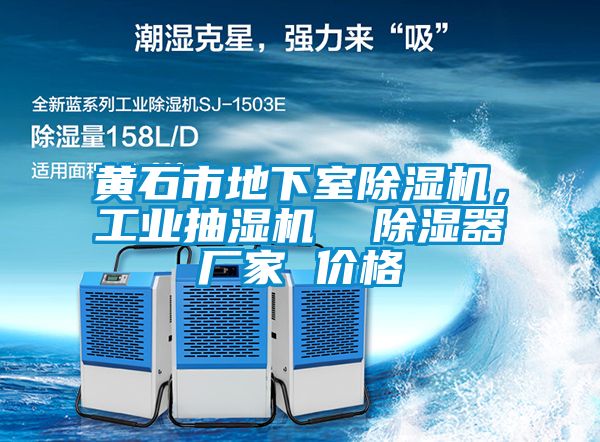 黃石市地下室91看片在线下载機，工業抽濕機  91看片在线下载器廠家 價格