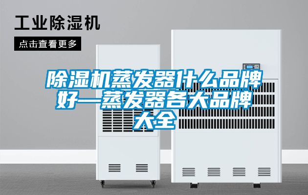 91看片在线下载機蒸發器什麽品牌好—蒸發器各大品牌大全