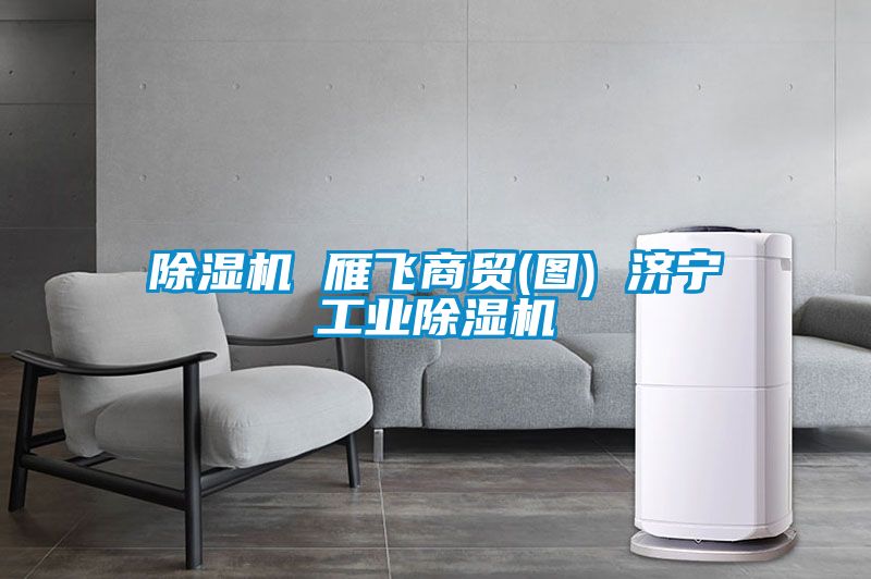 91看片在线下载機 雁飛商貿(圖) 濟寧工業91看片在线下载機