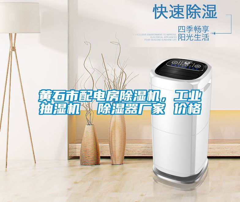 黃石市配電房91看片在线下载機，工業抽濕機  91看片在线下载器廠家 價格
