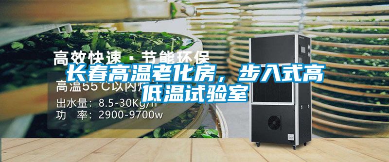 長春高溫老化房，步入式高低溫試驗室