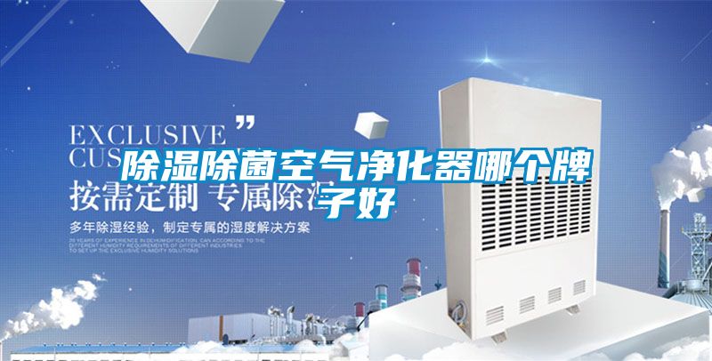 91看片在线下载除菌空氣淨化器哪個牌子好