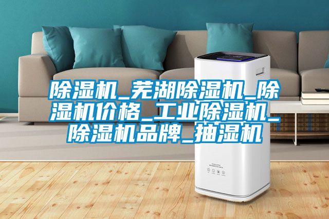 91看片在线下载機_蕪湖91看片在线下载機_91看片在线下载機價格_工業91看片在线下载機_91看片在线下载機品牌_抽濕機