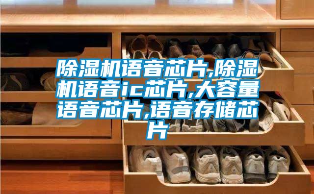 91看片在线下载機語音芯片,91看片在线下载機語音ic芯片,大容量語音芯片,語音存儲芯片