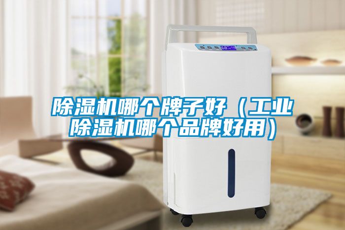 91看片在线下载機哪個牌子好（工業91看片在线下载機哪個品牌好用）