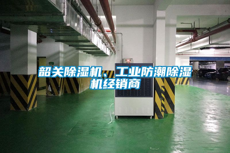 韶關91看片在线下载機、工業防潮91看片在线下载機經銷商