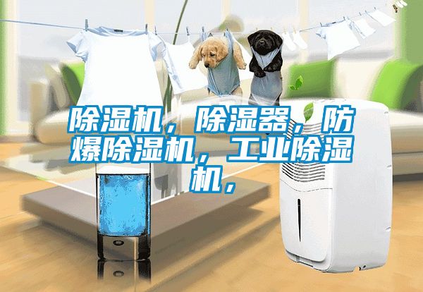 91看片在线下载機，91看片在线下载器，防爆91看片在线下载機，工業91看片在线下载機，