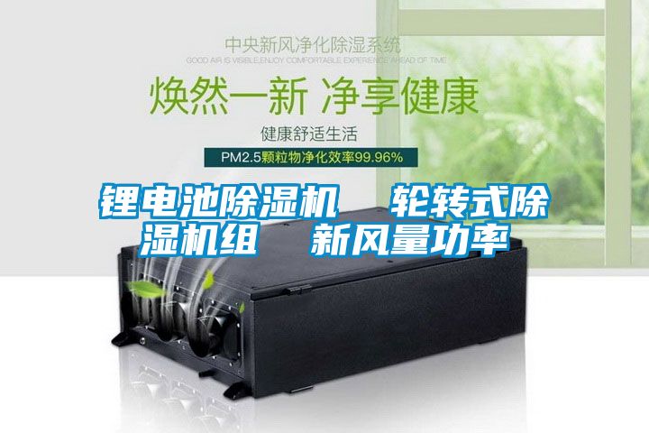 鋰電池91看片在线下载機  輪轉式91看片在线下载機組  新風量功率
