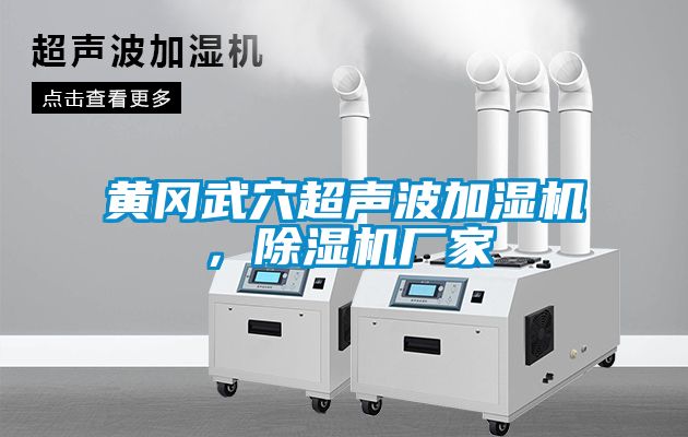 黃岡武穴超聲波加濕機，91看片在线下载機廠家