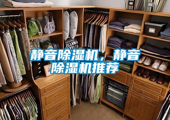 靜音91看片在线下载機，靜音91看片在线下载機推薦