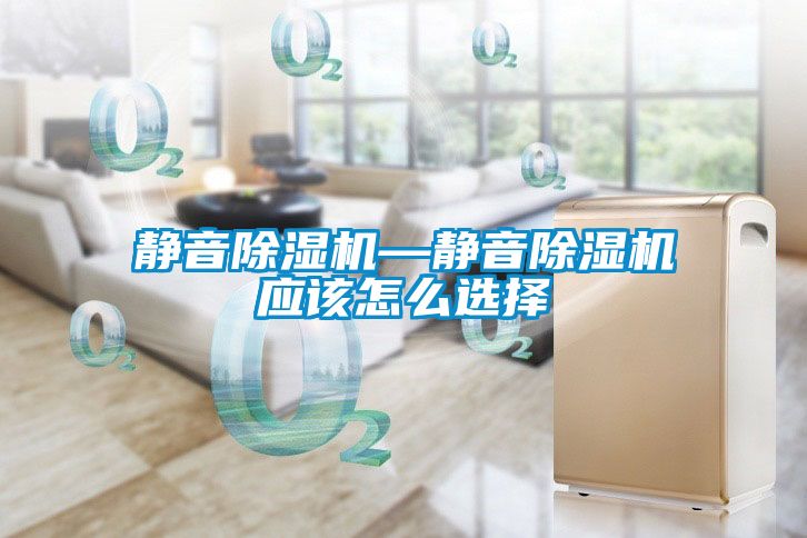 靜音91看片在线下载機—靜音91看片在线下载機應該怎麽選擇