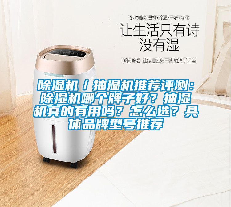 91看片在线下载機／抽濕機推薦評測：91看片在线下载機哪個牌子好？抽濕機真的有用嗎？怎麽選？具體品牌型號推薦
